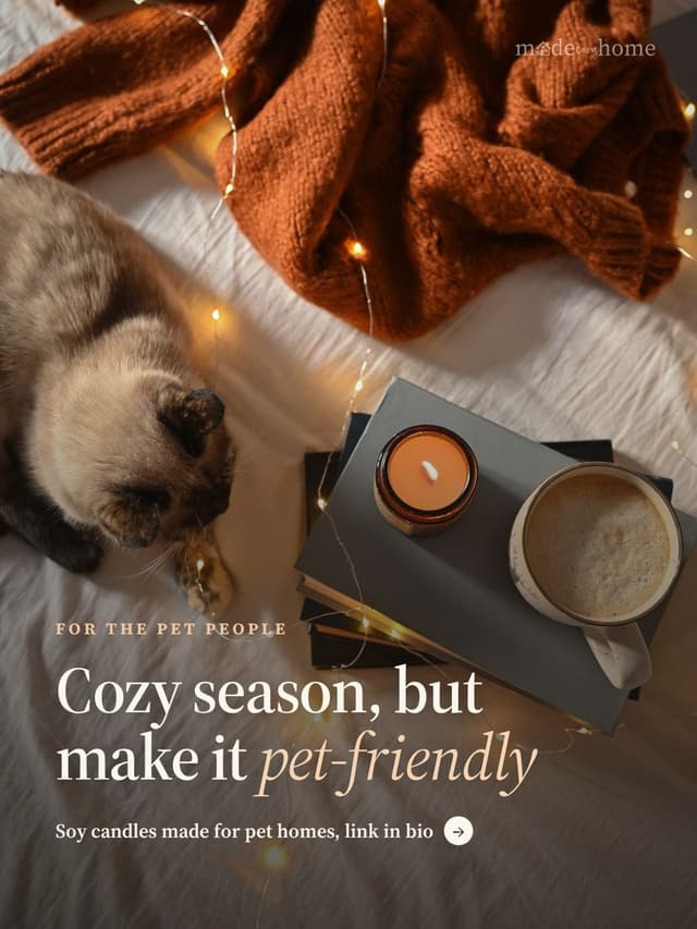 Cat playing with fairy lights next to a lit candle and a mug
