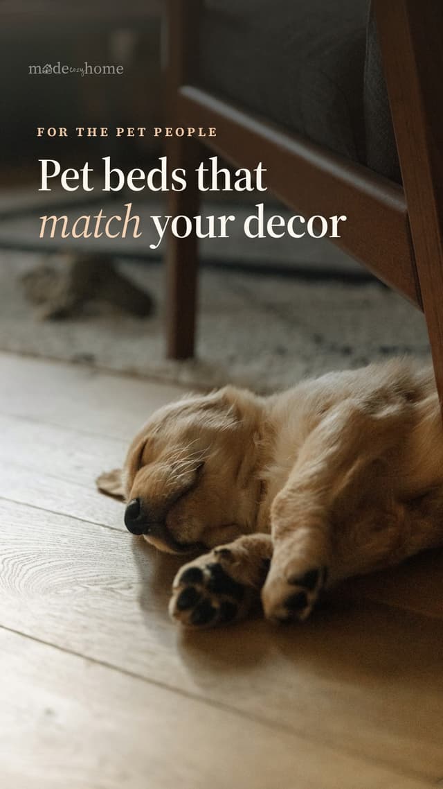 A golden retriever puppy sleeps on a woo