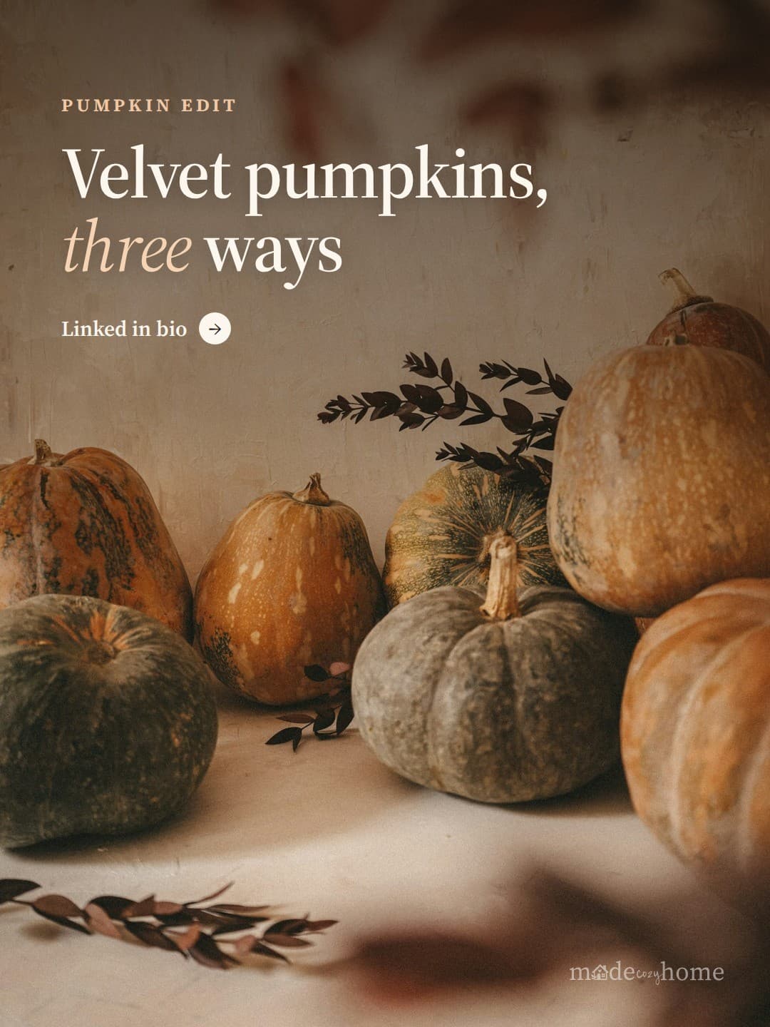 orange and green pumpkin on white table