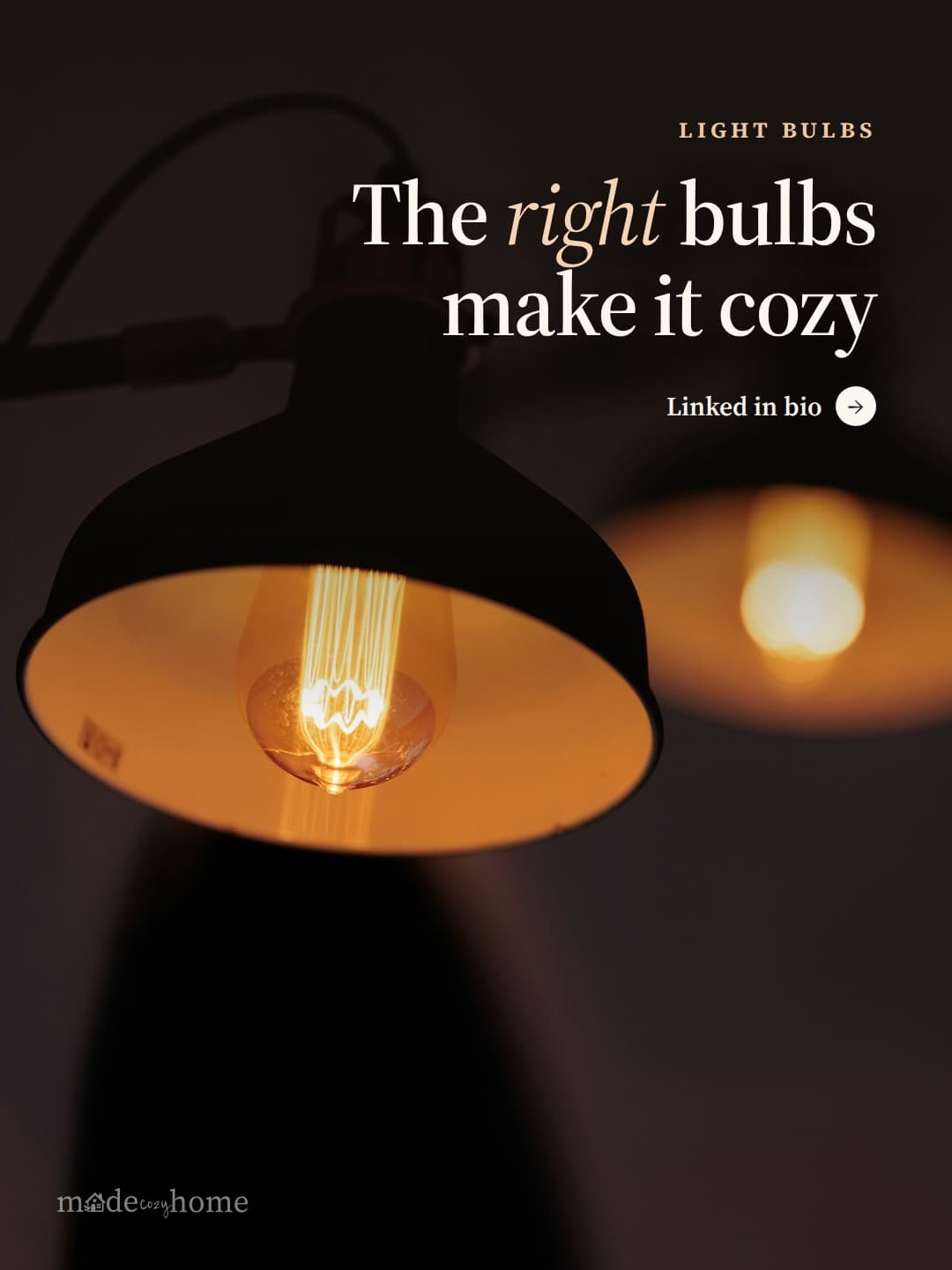 Two vintage edison bulbs illuminate a da