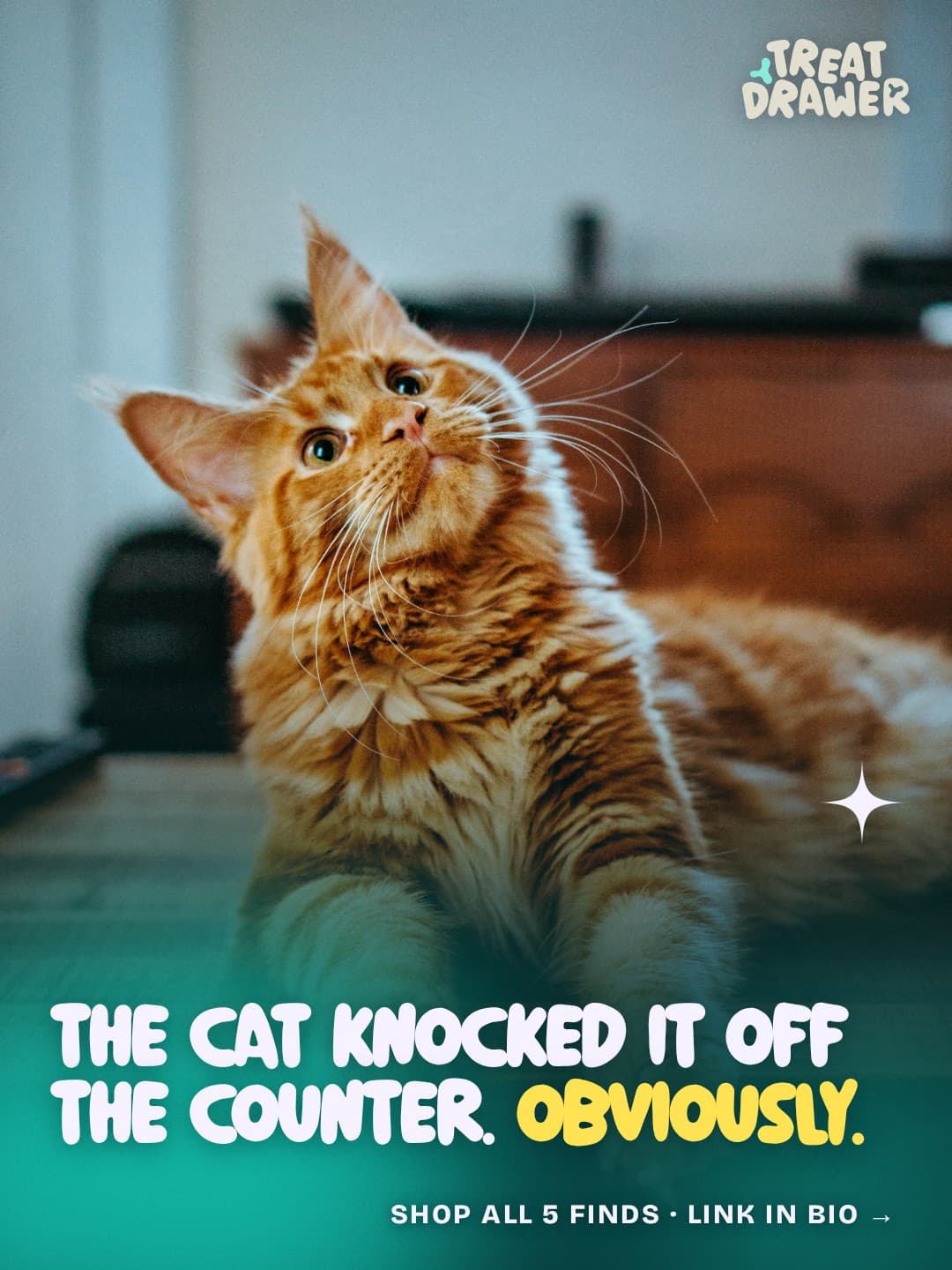 The cat knocked it off the counter. Obviously.