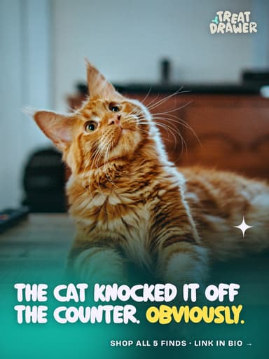 The cat knocked it off the counter. Obviously.