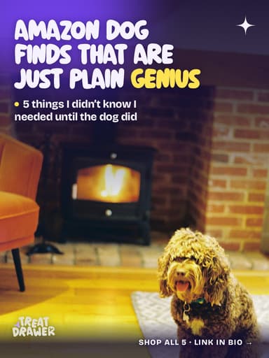 Amazon dog finds that are just plain genius