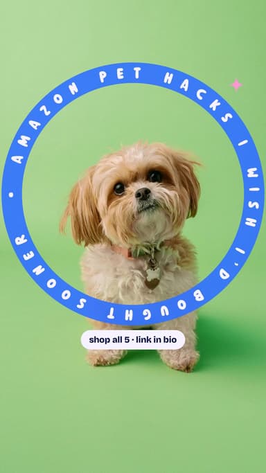 Amazon pet hacks I wish I’d bought sooner