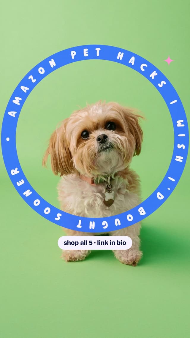 Amazon pet hacks I wish I’d bought sooner