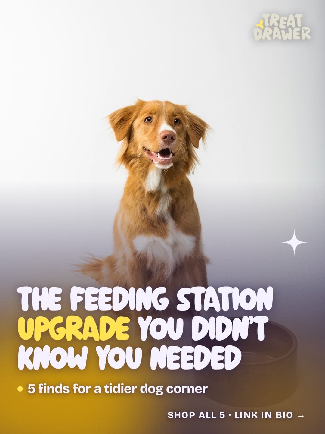 The feeding station upgrade you didn’t know you needed