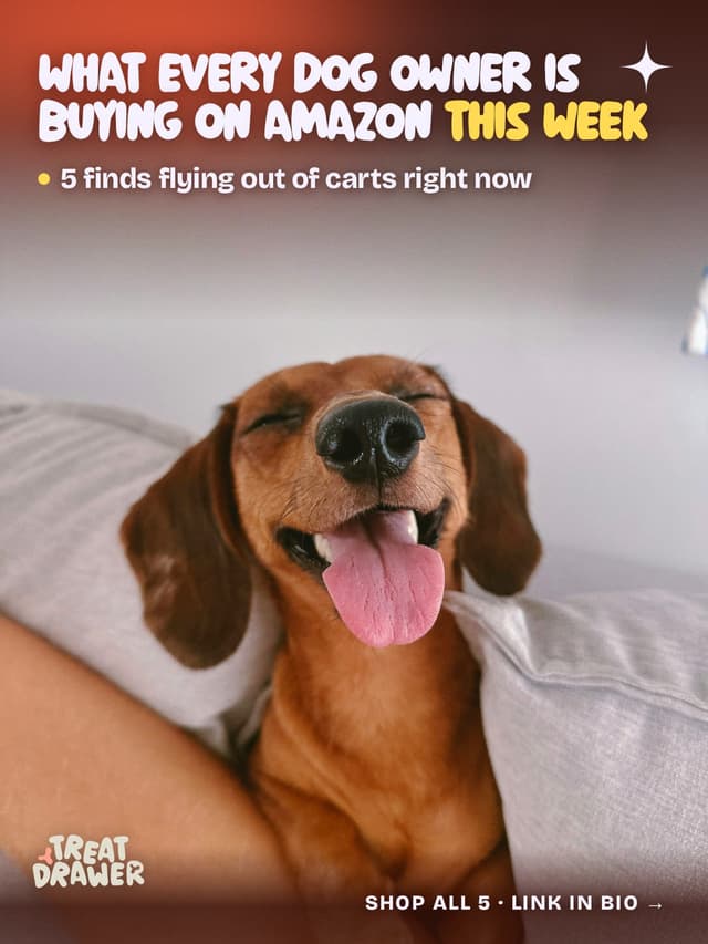 What every dog owner is buying on Amazon this week