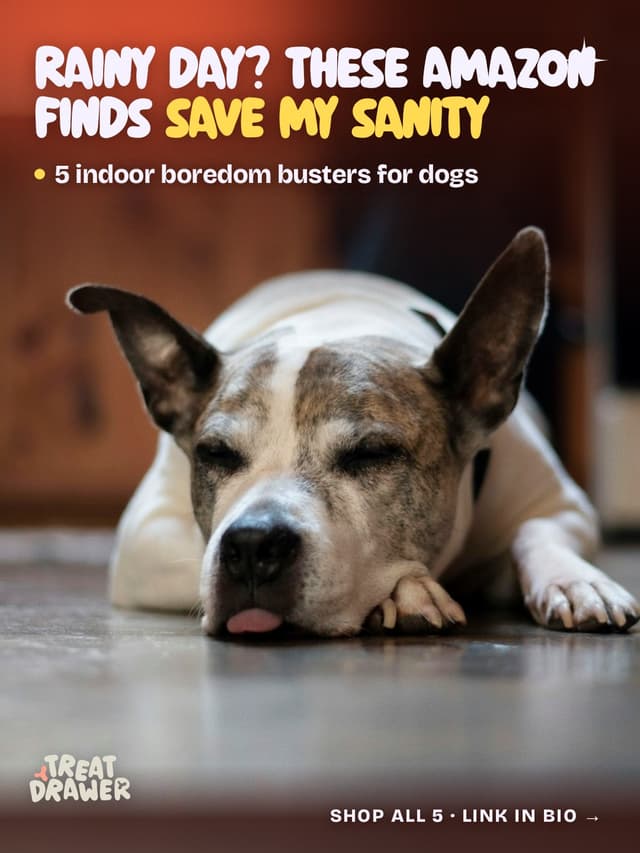 Rainy day? These Amazon finds save my sanity