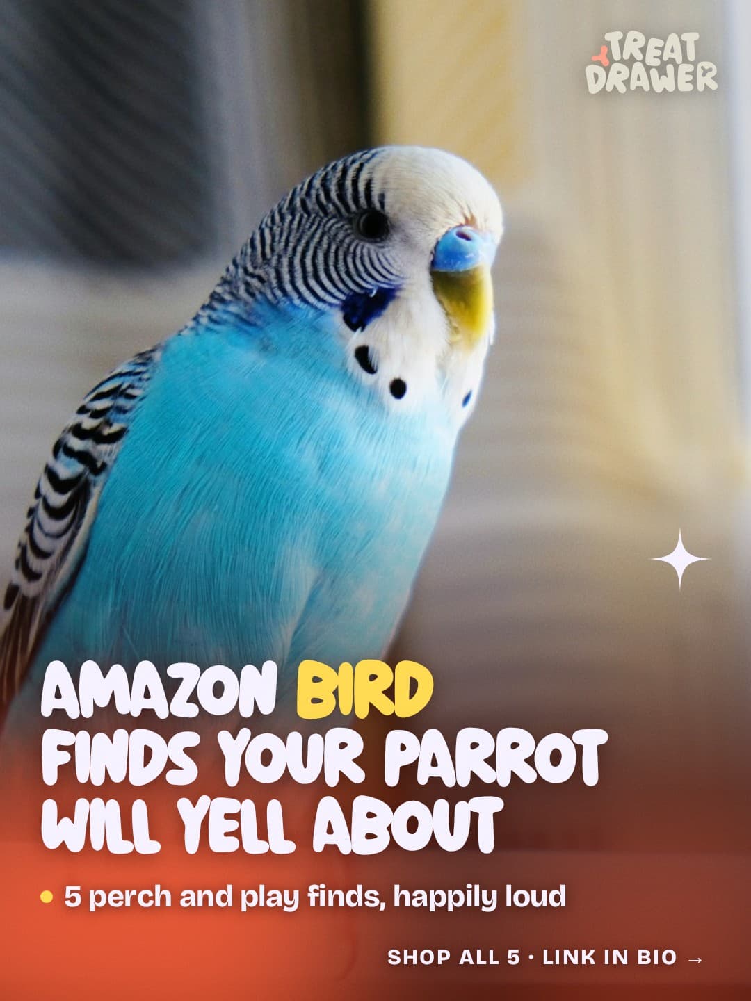 Amazon bird finds your parrot will yell about