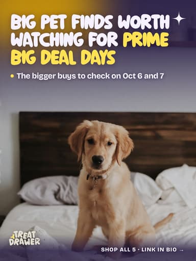 Big pet finds worth watching for Prime Big Deal Days