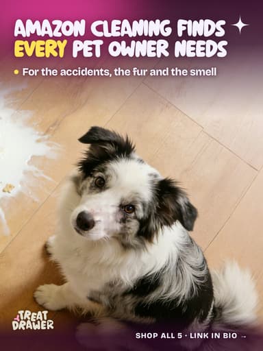 Amazon cleaning finds every pet owner needs