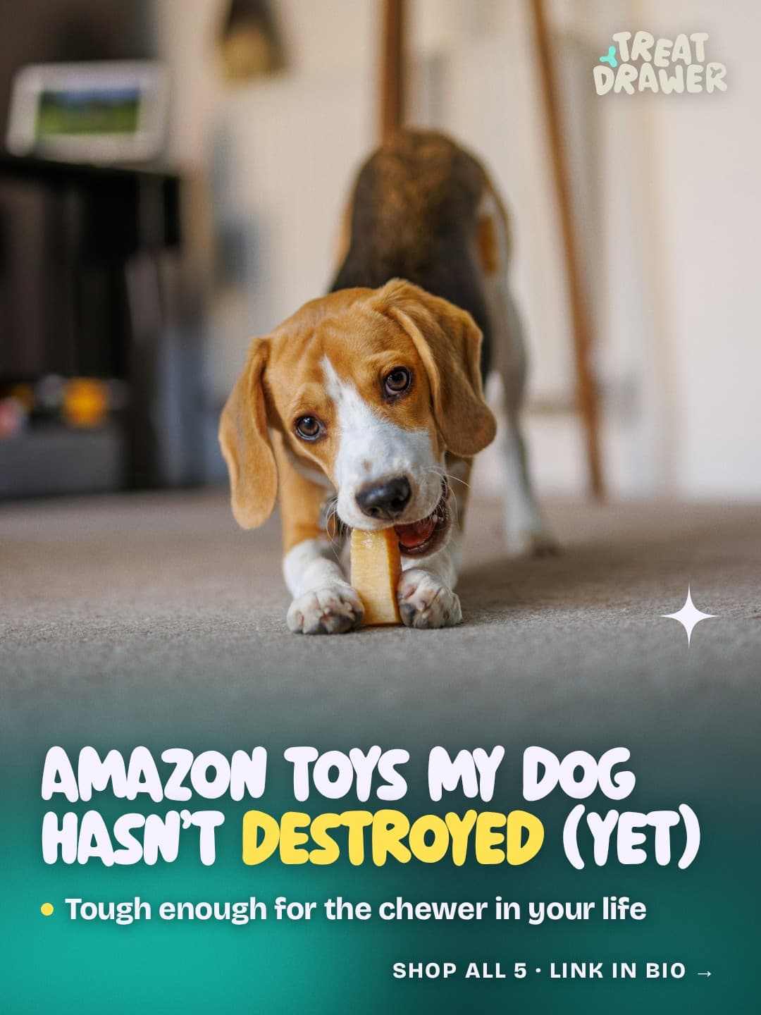 Amazon toys my dog hasn’t destroyed (yet)
