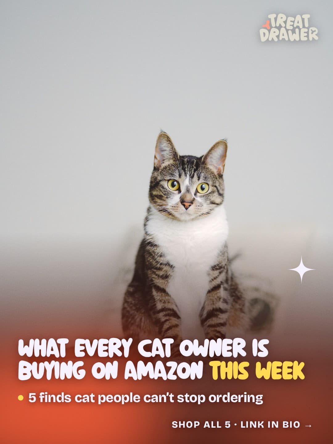 What every cat owner is buying on Amazon this week