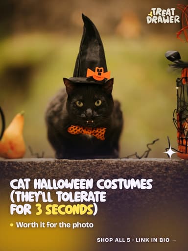 Cat Halloween costumes (they’ll tolerate for 3 seconds)