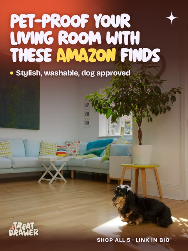 Pet-proof your living room with these Amazon finds