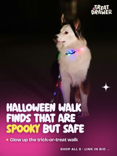 Halloween walk finds that are spooky but safe