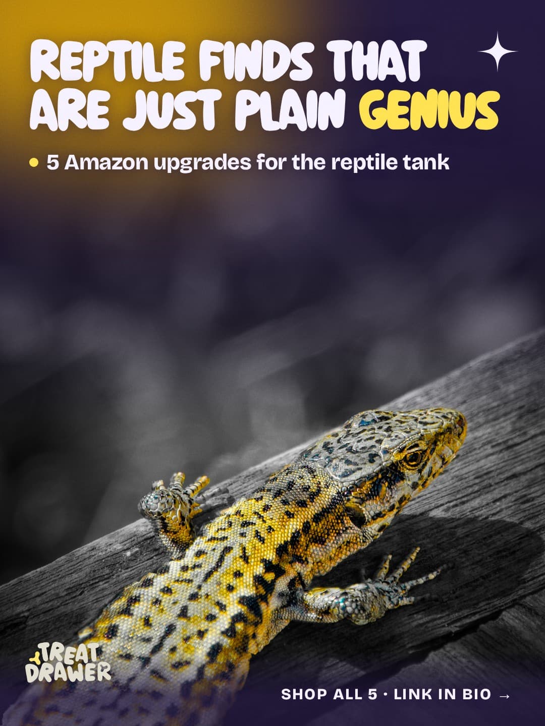 Reptile finds that are just plain genius