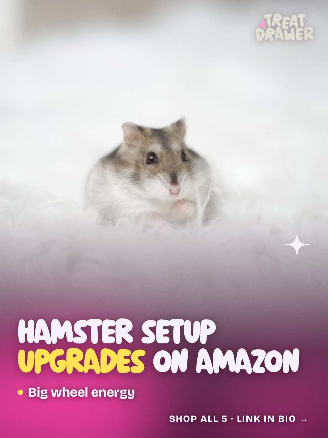 Hamster setup upgrades on Amazon
