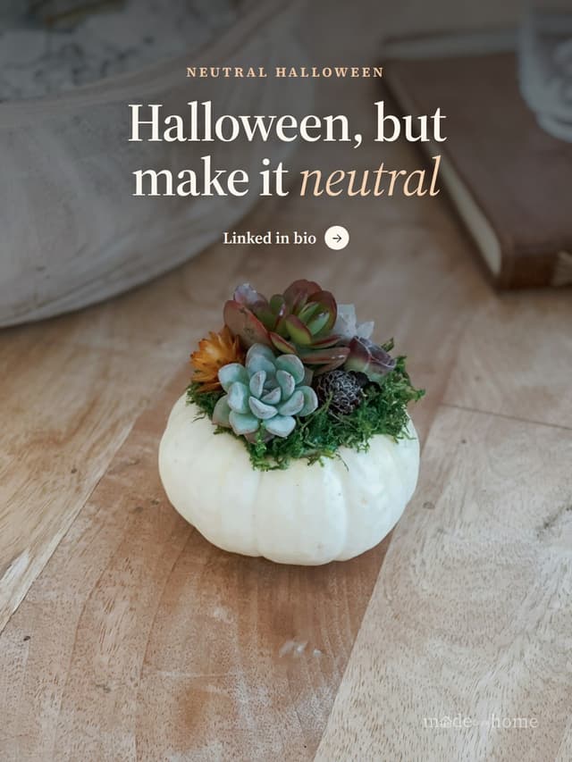 White pumpkin planter with succulents an