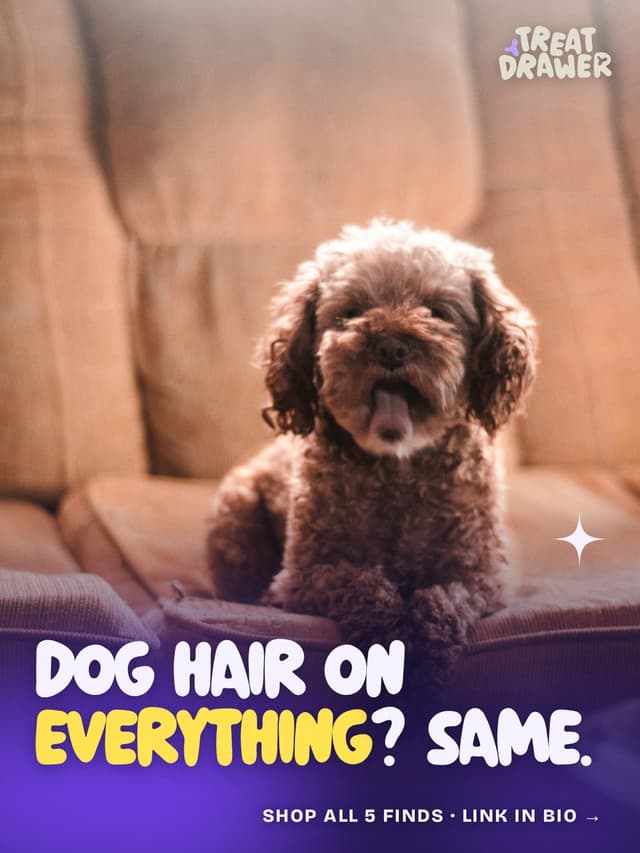 Dog hair on everything? Same.