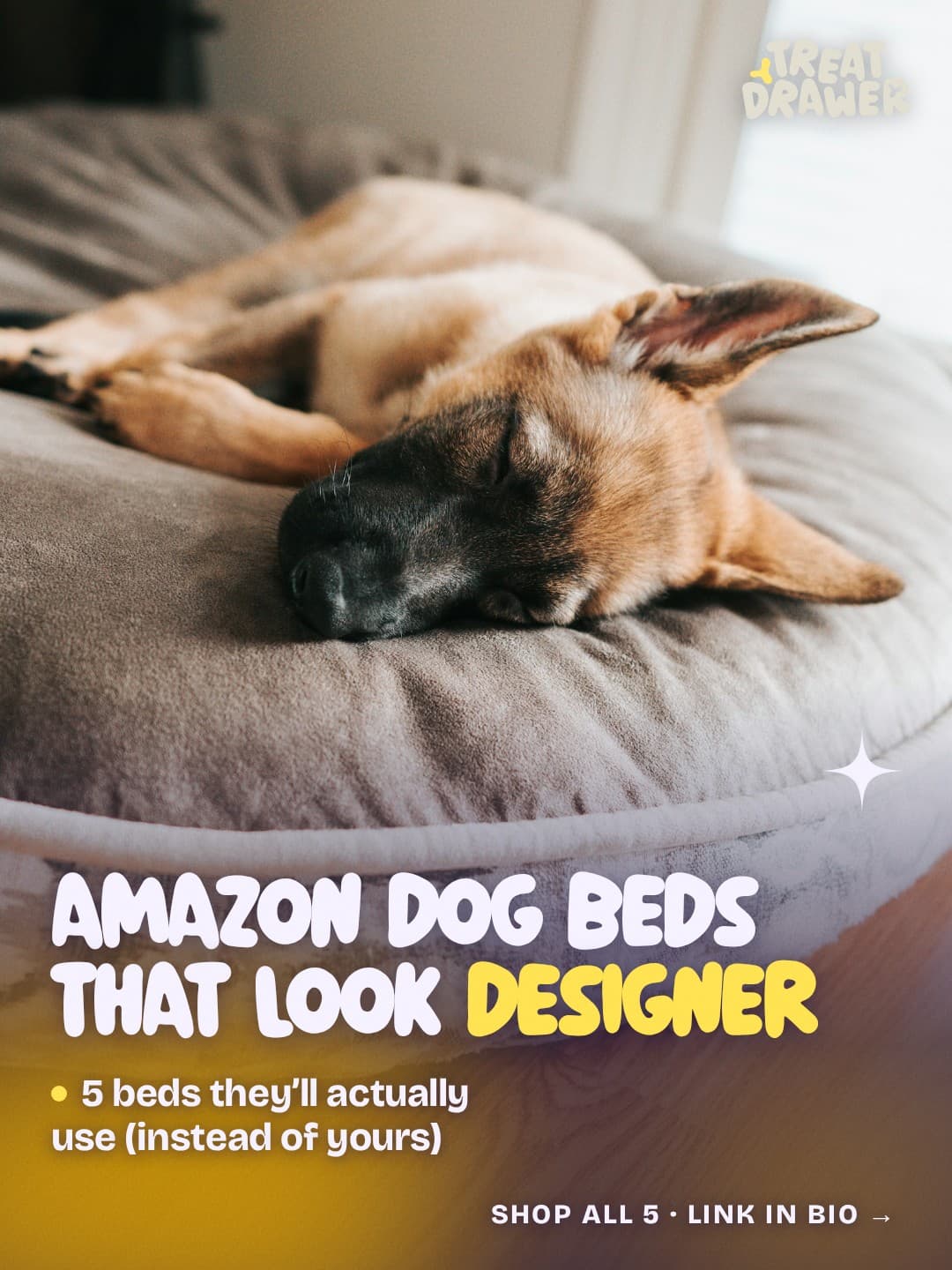 Amazon dog beds that look designer
