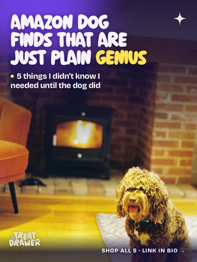 Amazon dog finds that are just plain genius