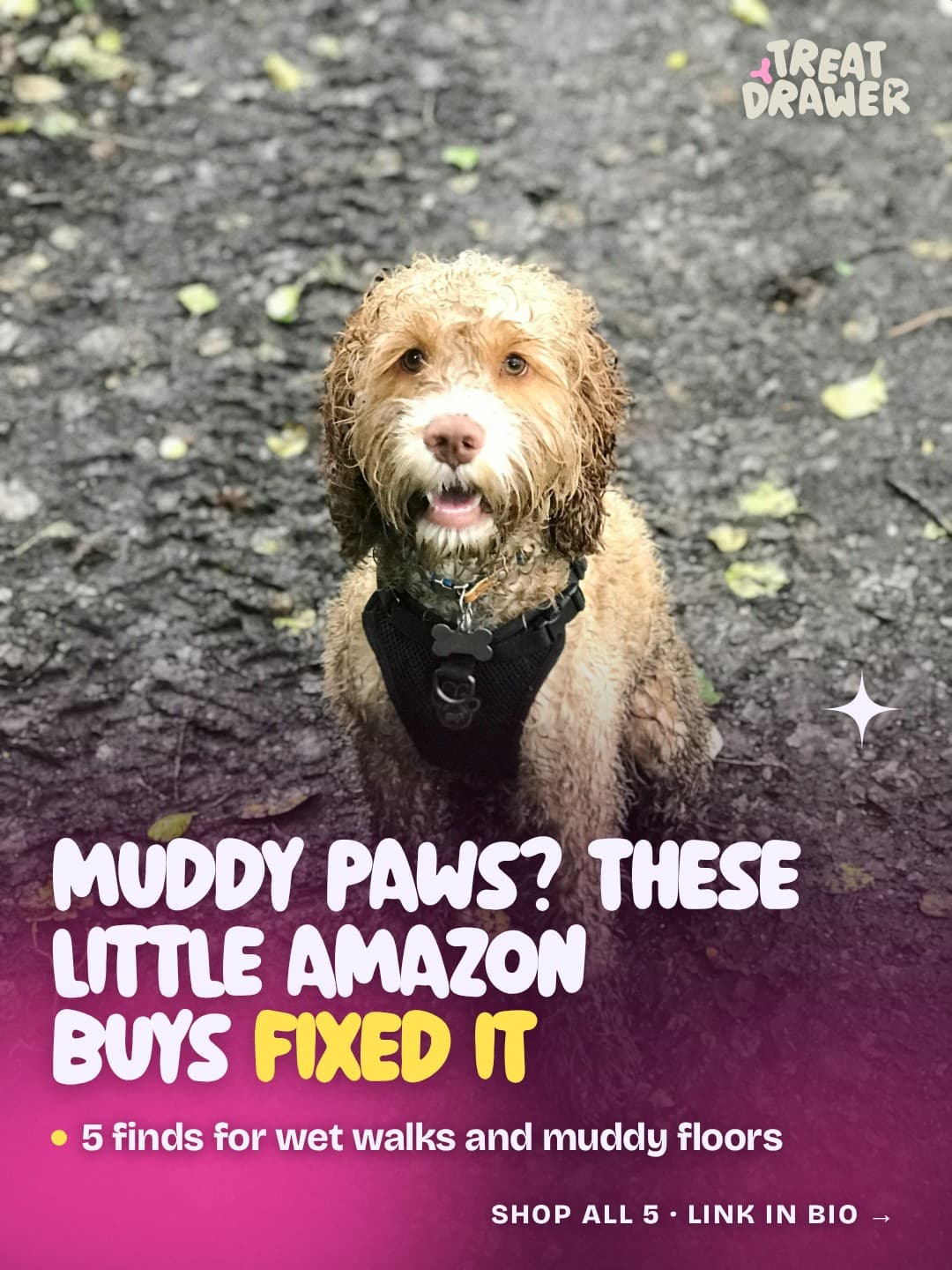 Muddy paws? These little Amazon buys fixed it