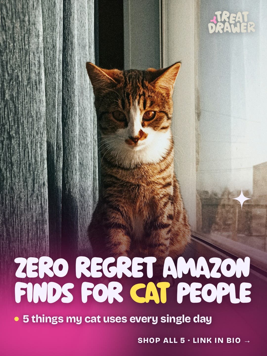 Zero regret Amazon finds for cat people