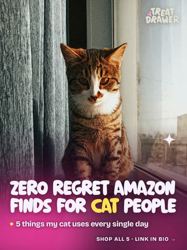 Zero regret Amazon finds for cat people