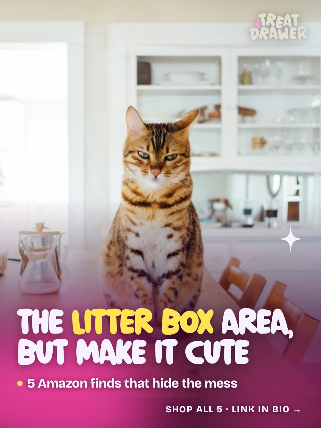 The litter box area, but make it cute