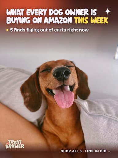 What every dog owner is buying on Amazon this week