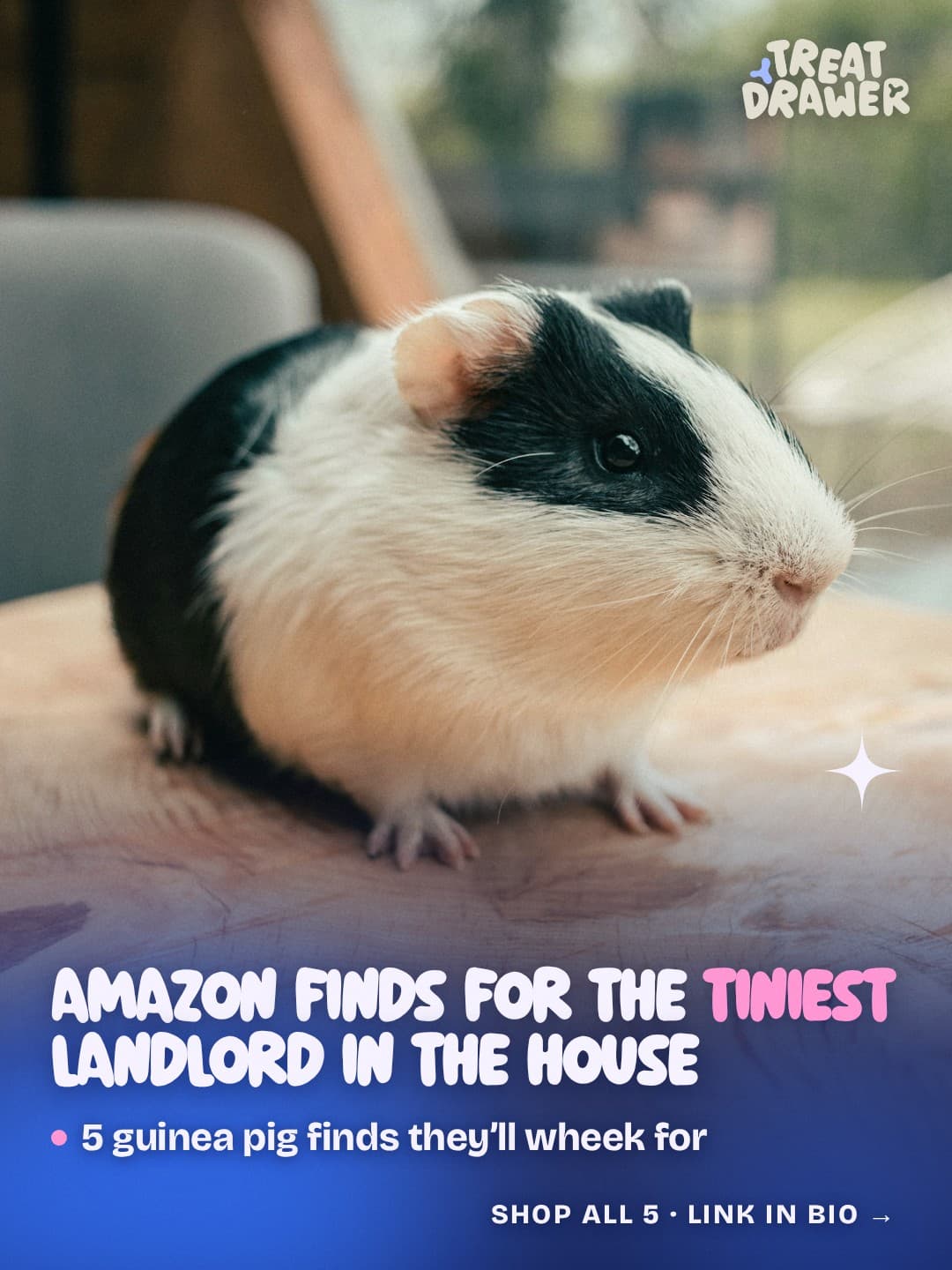 Amazon finds for the tiniest landlord in the house