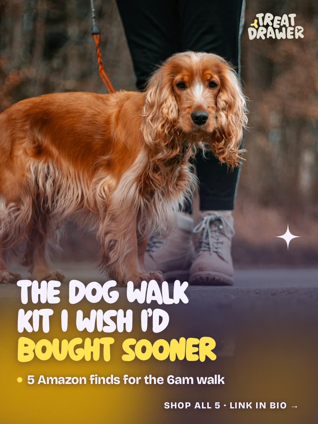 The dog walk kit I wish I’d bought sooner