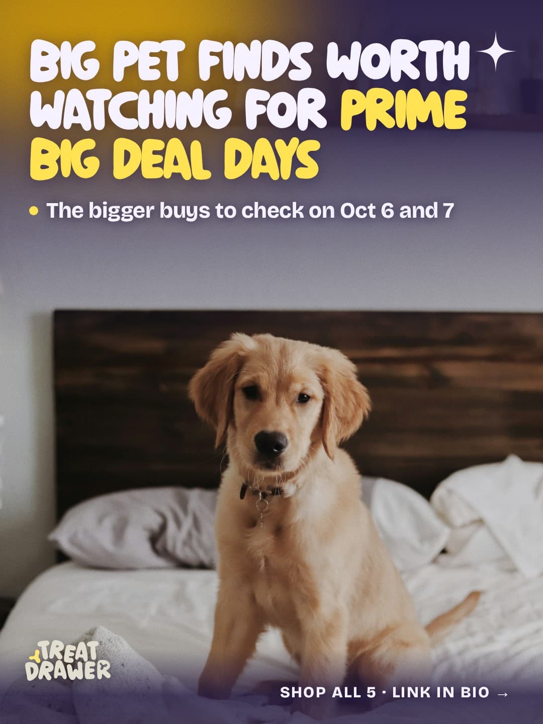 Big pet finds worth watching for Prime Big Deal Days