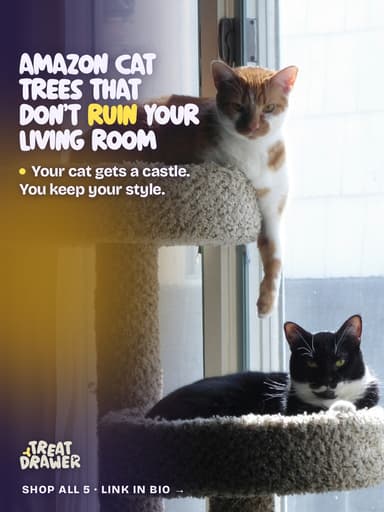 Amazon cat trees that don’t ruin your living room