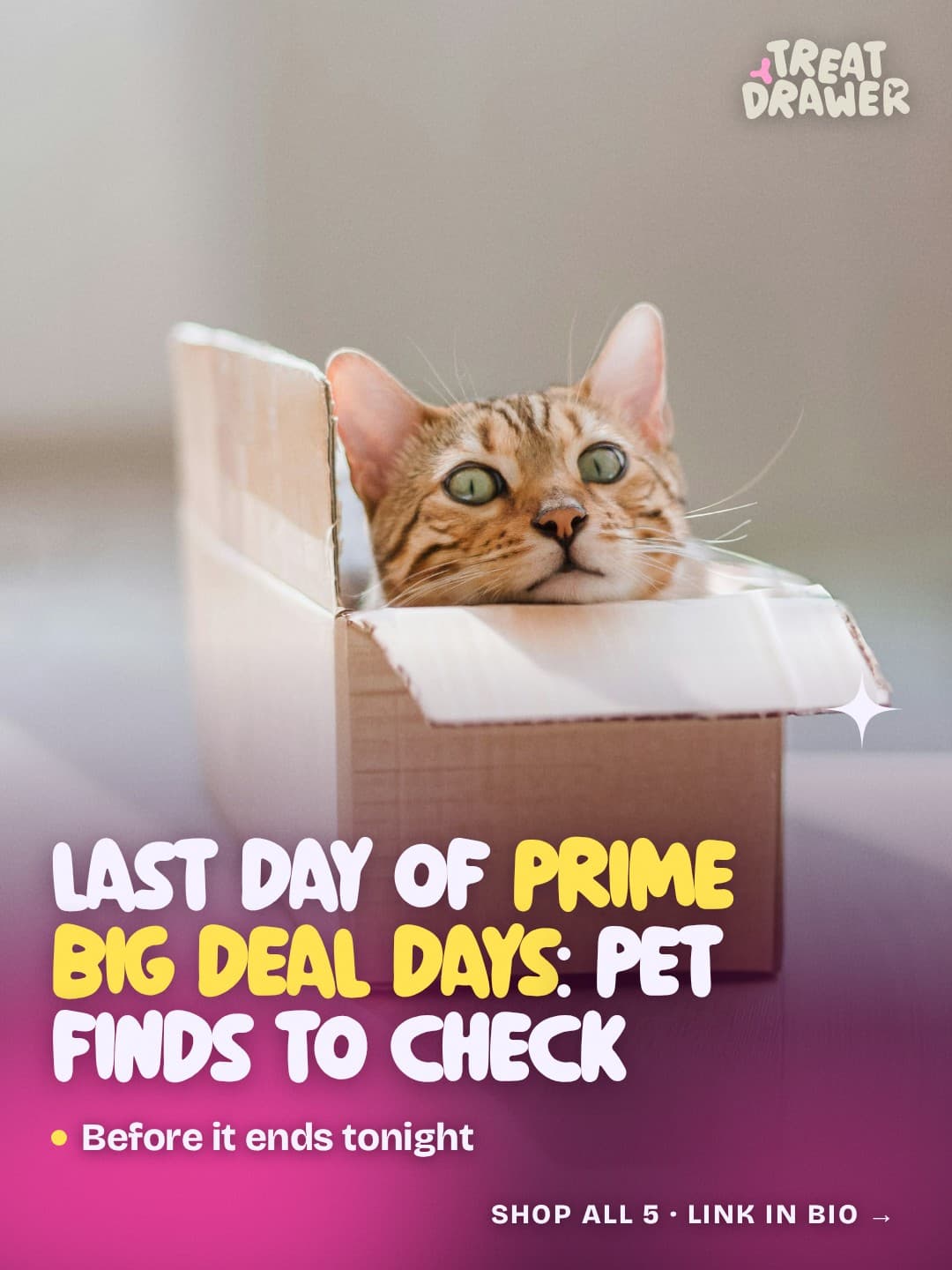 Last day of Prime Big Deal Days: pet finds to check