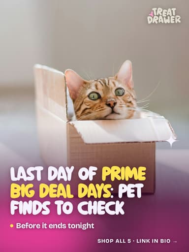 Last day of Prime Big Deal Days: pet finds to check
