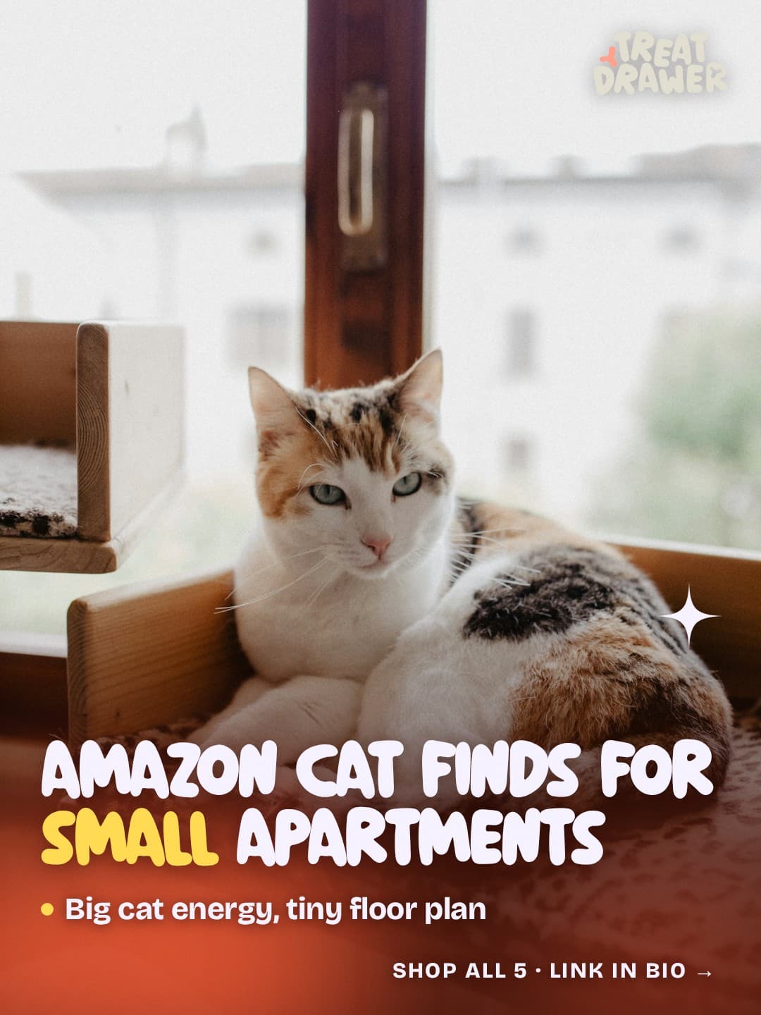 Amazon cat finds for small apartments