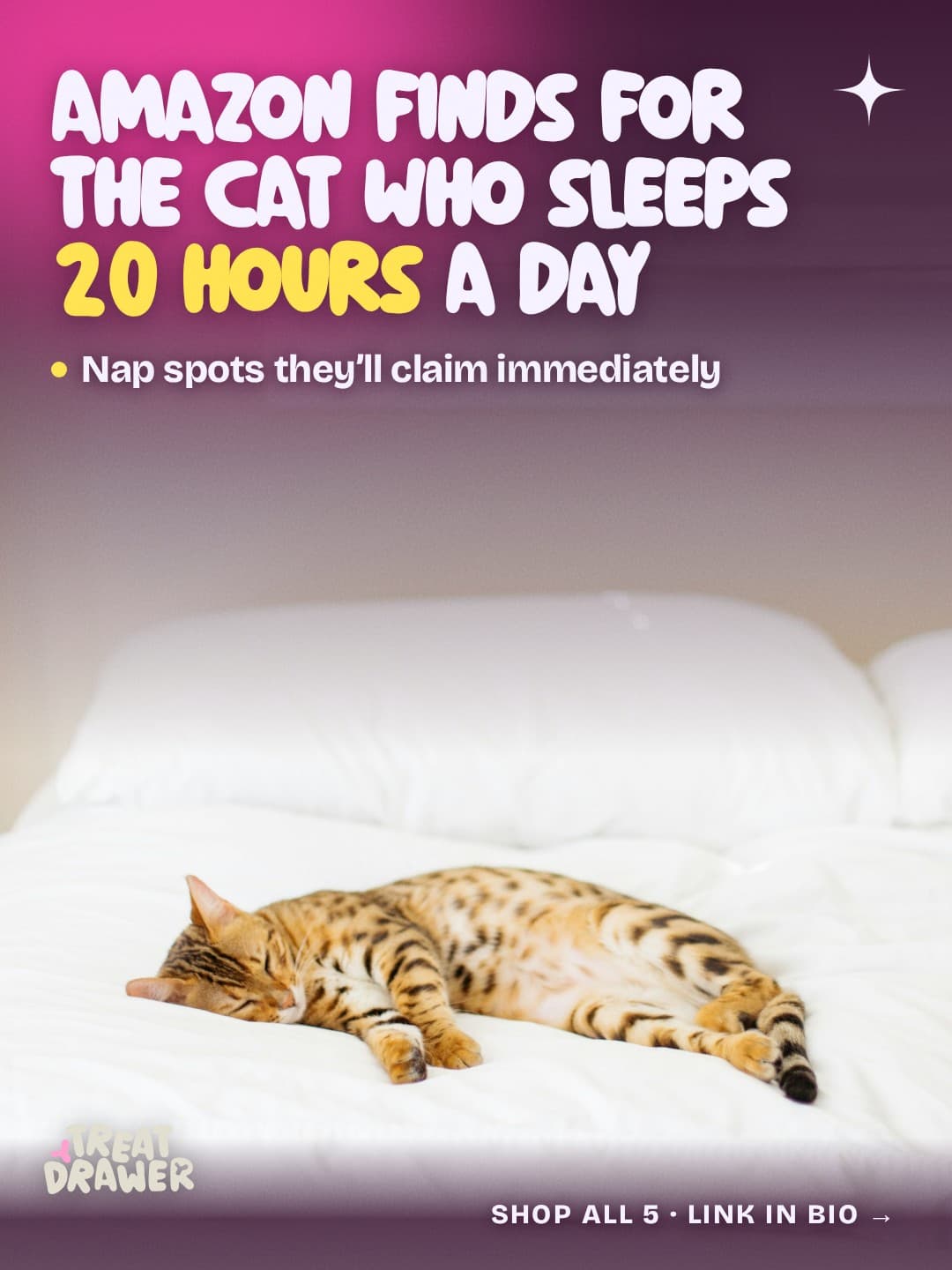Amazon finds for the cat who sleeps 20 hours a day