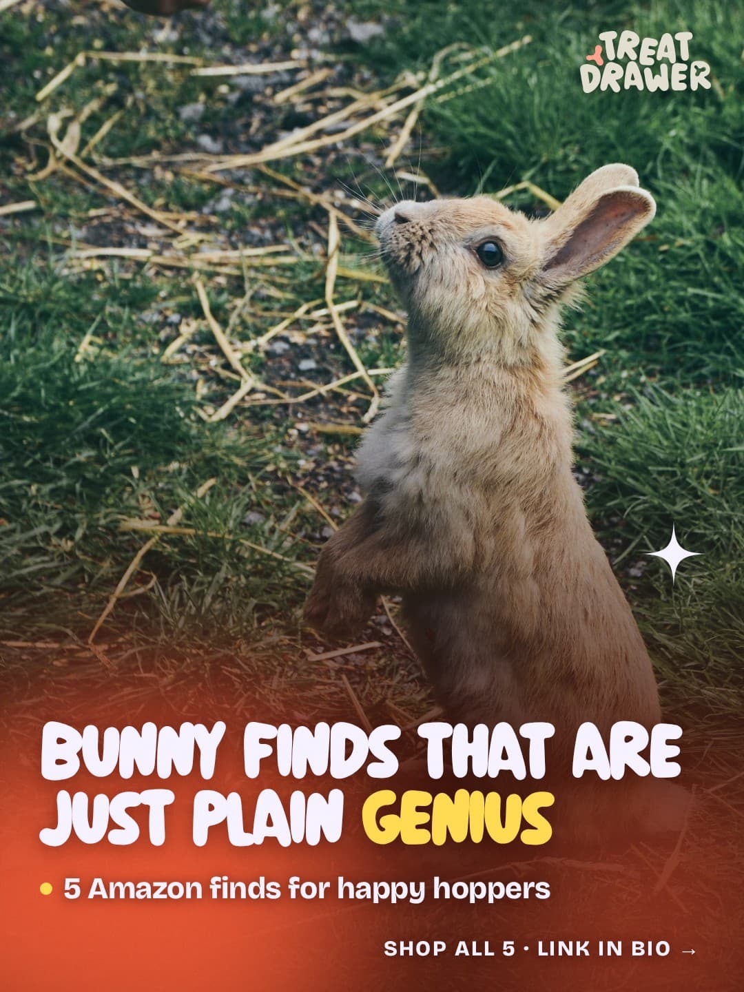 Bunny finds that are just plain genius