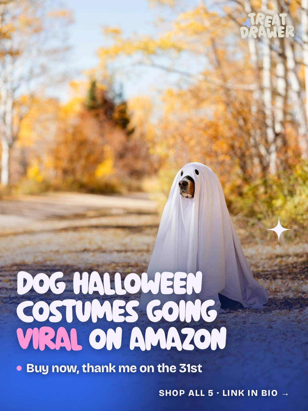 Dog Halloween costumes going viral on Amazon