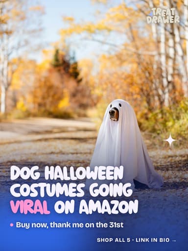 Dog Halloween costumes going viral on Amazon