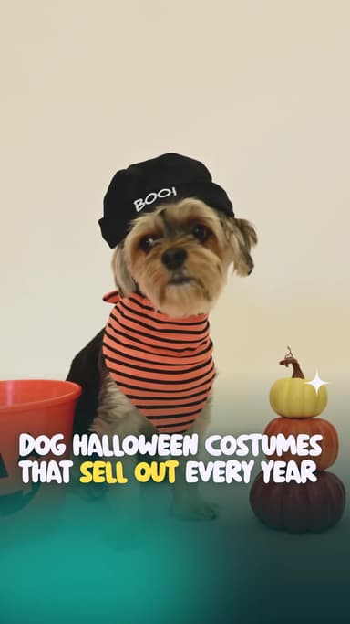 Dog Halloween costumes that sell out every year