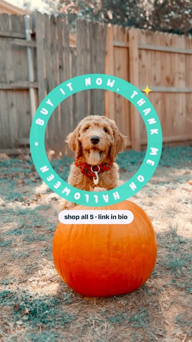 Buy it now, thank me on Halloween