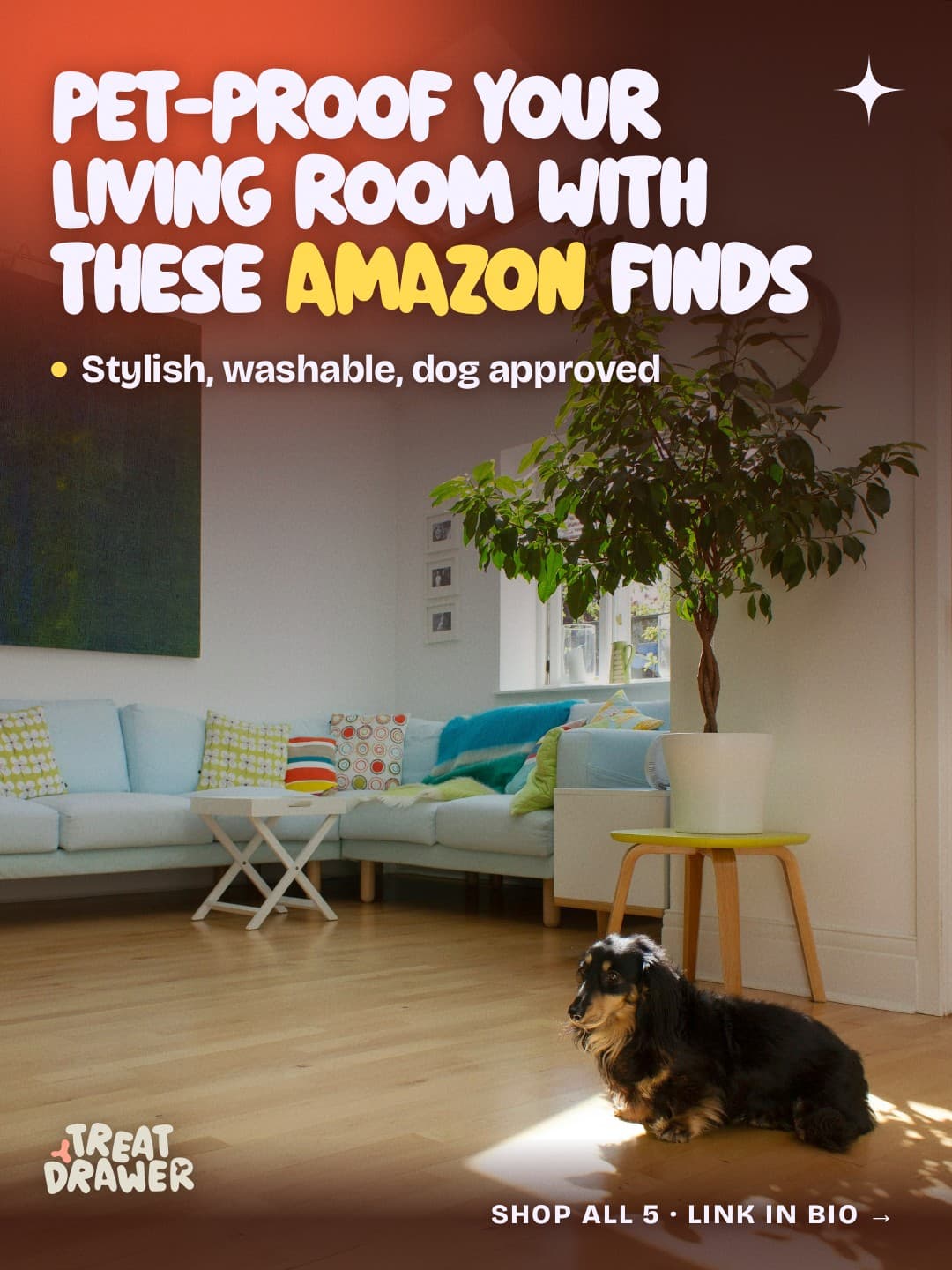 Pet-proof your living room with these Amazon finds