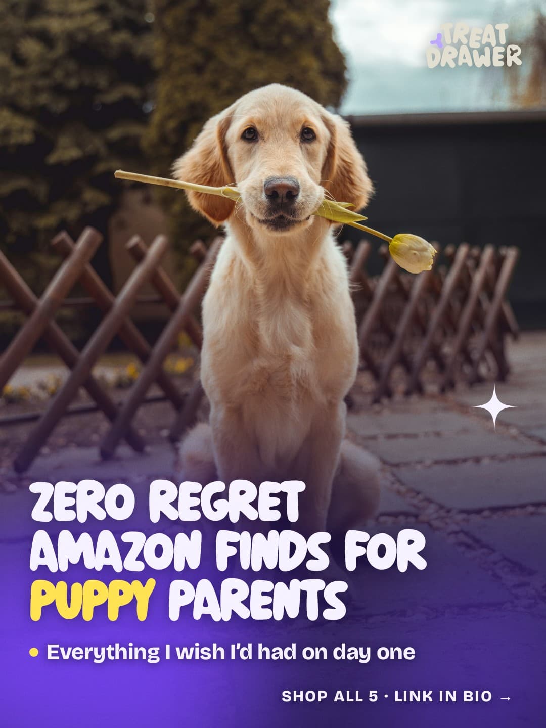 Zero regret Amazon finds for puppy parents