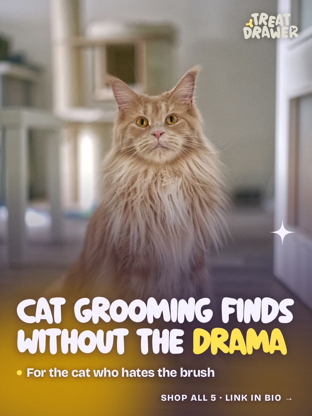 Cat grooming finds without the drama