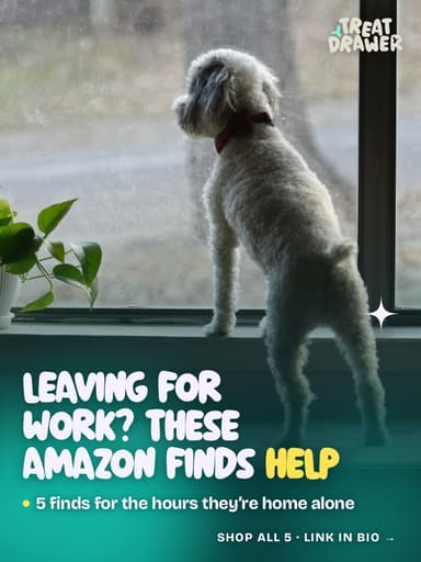 Leaving for work? These Amazon finds help